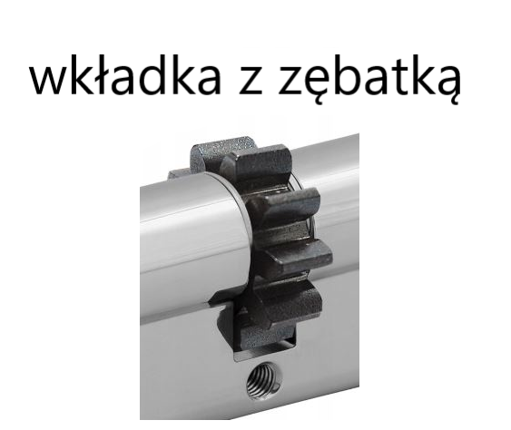 zębatka.png