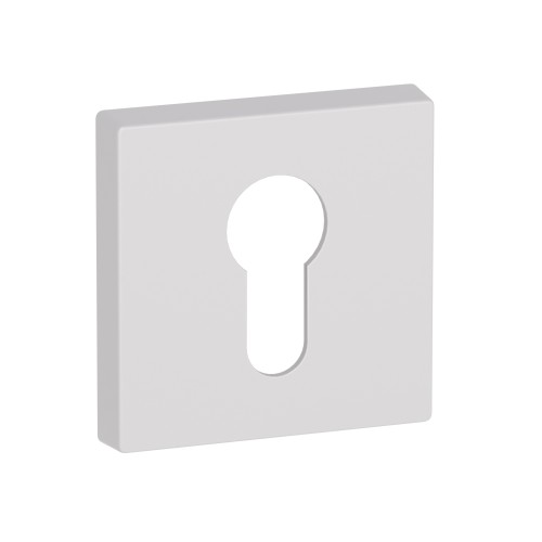 szyld Tom wkład biały.jpg