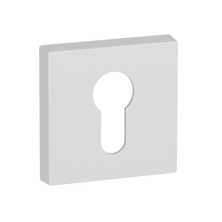 szyld Tom wkład biały.jpg